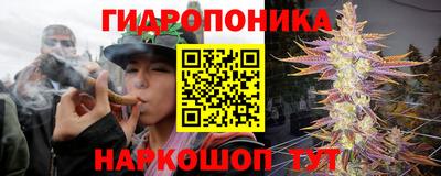 крисы Ангарск