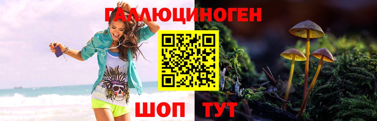 Псилоцибиновые грибы MAGIC MUSHROOMS Кубинка