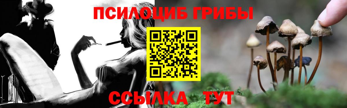 Галлюциногенные грибы Psilocybe  Вход с VPN  магазин продажи наркотиков  Кубинка 